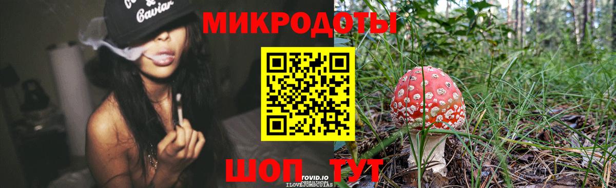 Галлюциногенные грибы мицелий Чернушка