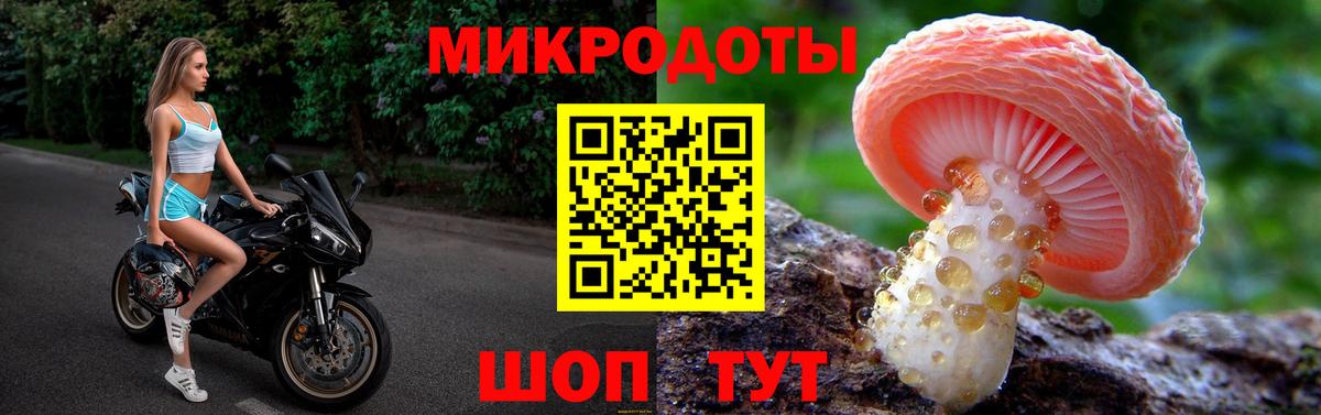 Галлюциногенные грибы прущие грибы  Вход с VPN  Чернушка  Галлюциногенные грибы Cubensis 