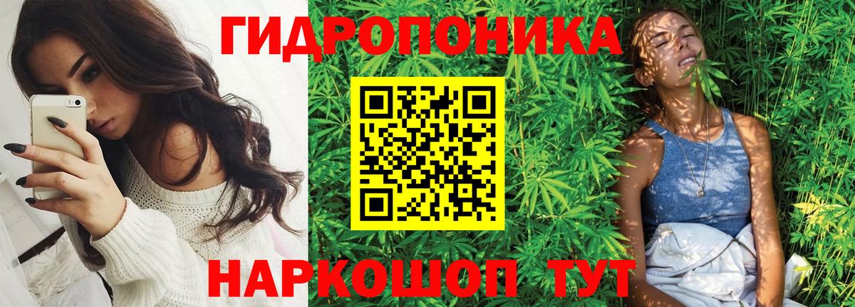 Шишки марихуана Amnesia Чернушка
